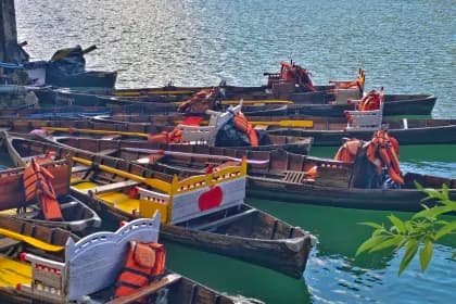 Where to Stay in Nainital: Lake, Mall Road or Quiet Hillside?